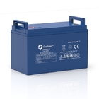 RV 12 Volt 100 Amp Hour Deep Cycle Gel Battery Maintenance Free